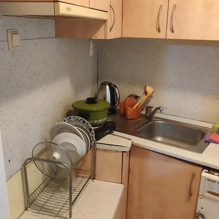 Karavelov Apartment *