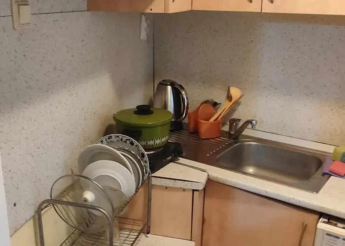 Karavelov Apartment *