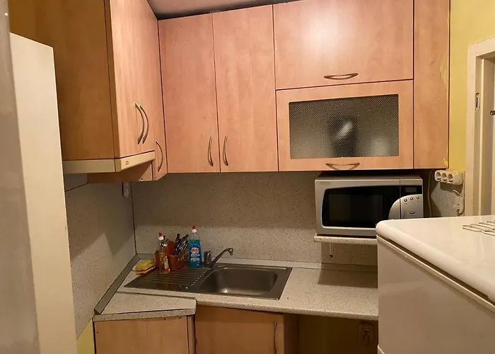 Karavelov Apartment *